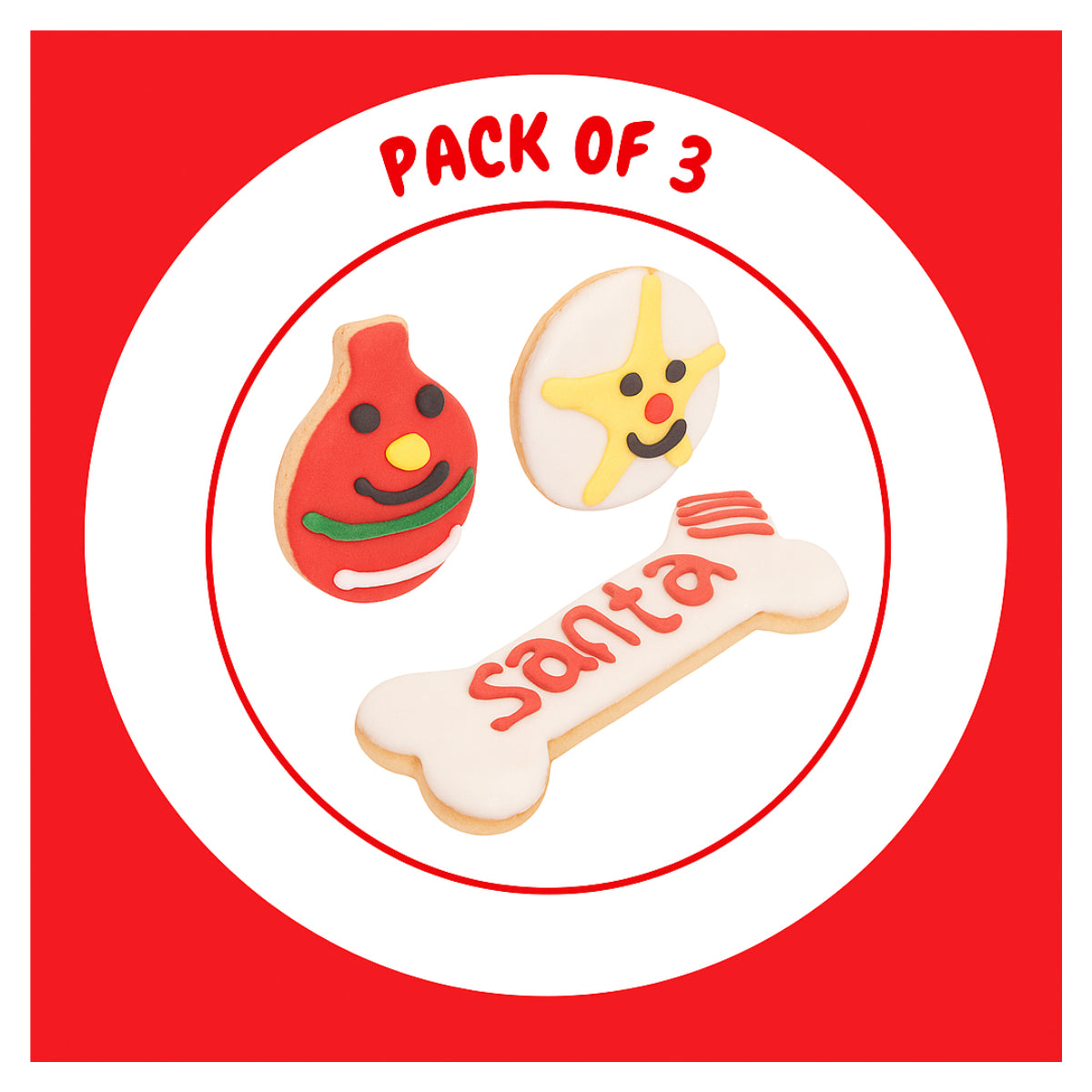 Christmas Dog Treats Set of Pet Cookies Flavoured Crunchy Biscuits Star Bauble