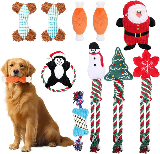10 Pack Dog Chew Toys for Small Puppy Dogs, Puppy Plush Teething Toy for Medium Pets, Non Interactive Tug Rope Game for Christmas Party Gift Presents Birthday