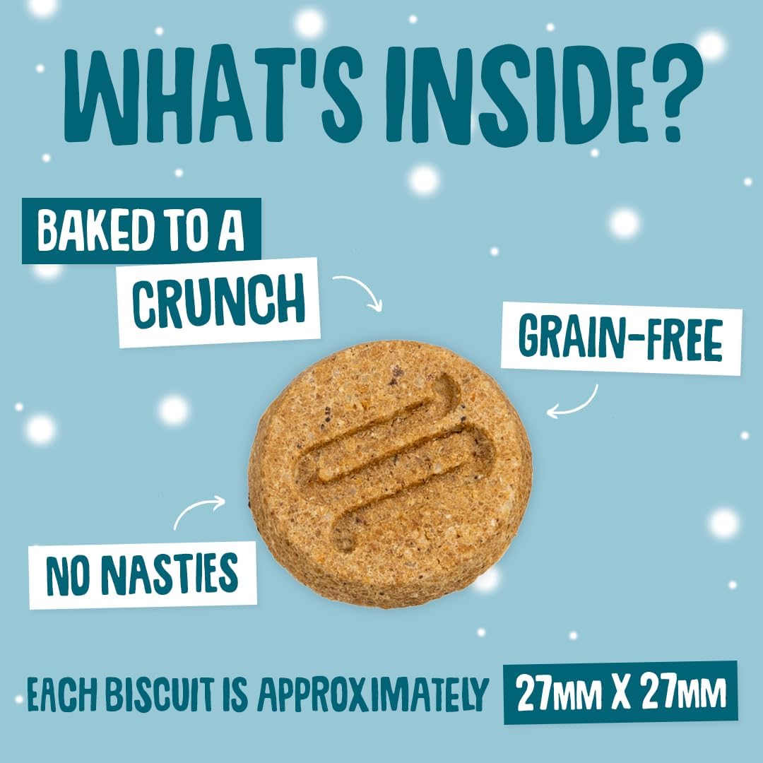 Turkey Cranberry Softies 90G