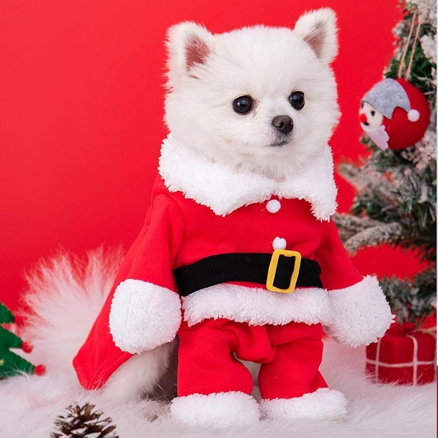 Christmas Pet Clothes Dog Cat Christmas Costume Santa Claus Cosplay Dog Cat Christma Cloak with Cap, Cats Xmas Hoodies for Small Medium Dogs Cats (Red, M)