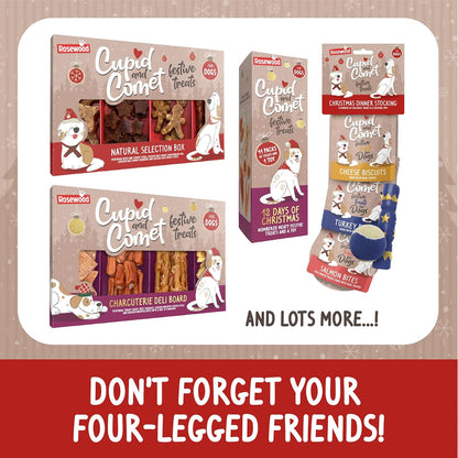 Cupid & Comet Smoked Salmon and Cheese Cat Treats - Made with Real Meat, Luxury Treats for Cats, Small Bite Sized Cat Snacks, Festive for Cats (70G)