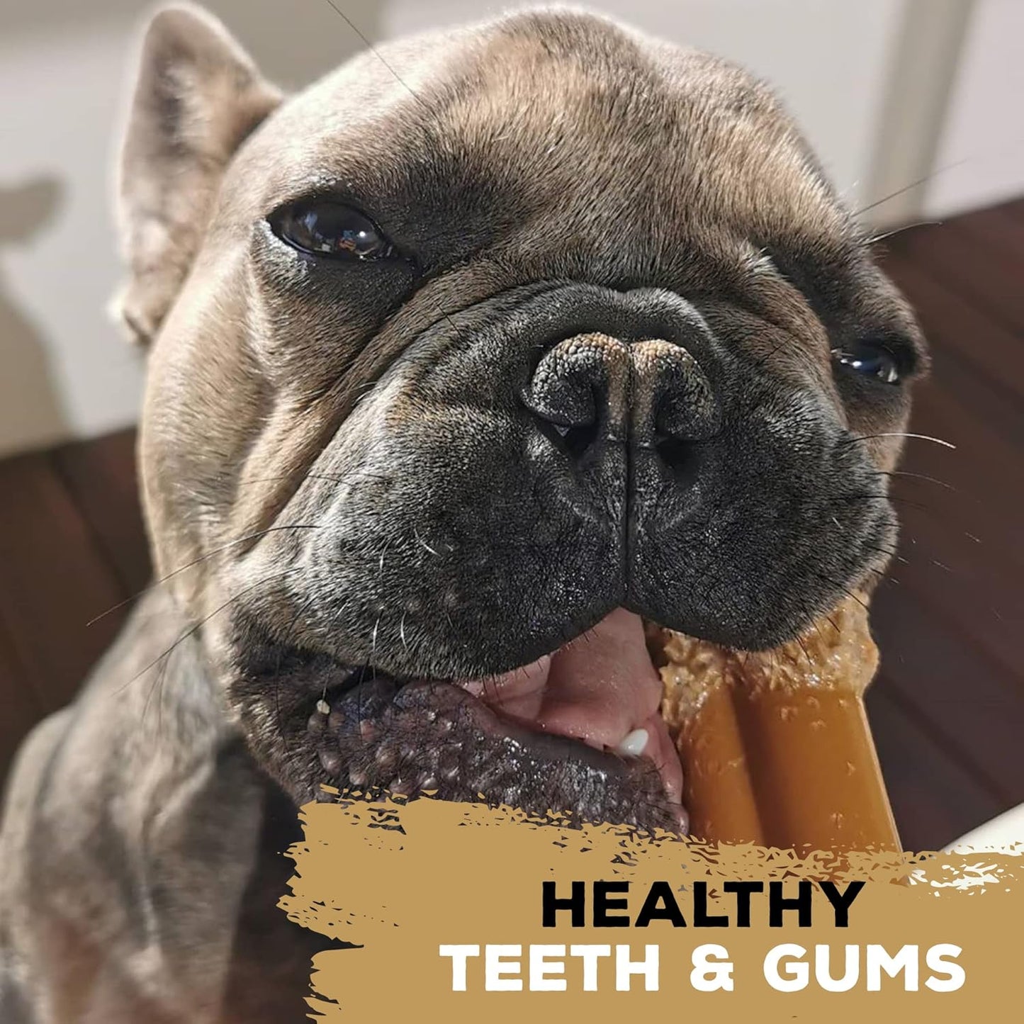 Tastybone Festive Nylon Dog Chew Toy for Toy Dogs (Turkey & Cranberry) - Christmas Dog Present, Indestructible for Aggressive Chewers, Everlasting Flavour, Made in the UK