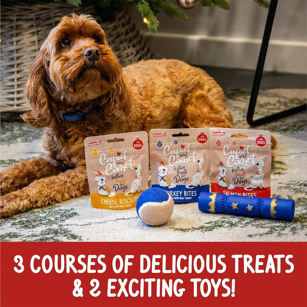 Rosewood Dog & Cat Christmas Stockings with Treats & Toys