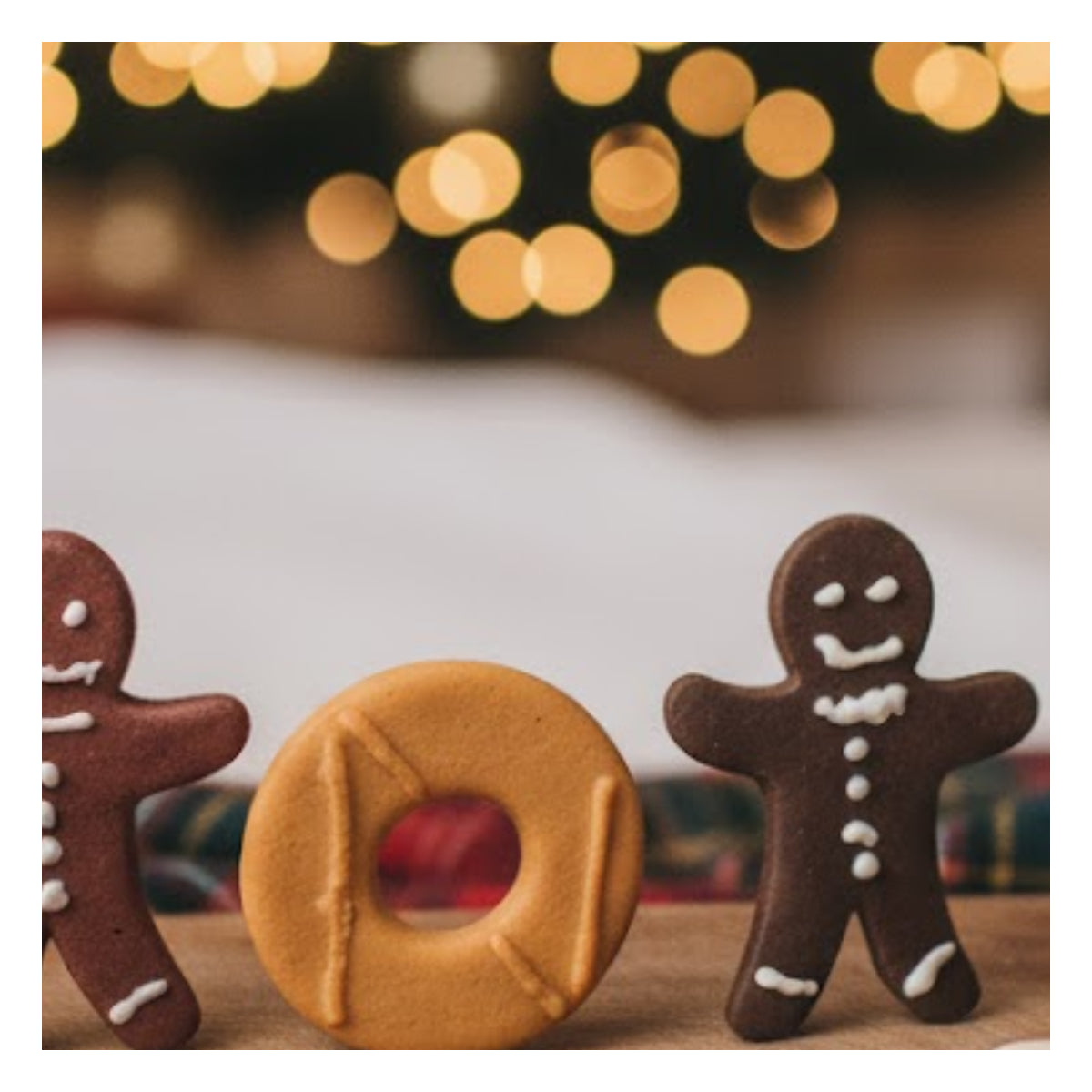 Christmas Dog Treats Set of 3 Gingerbread Biscuits Chicken Liver Duck Flavour