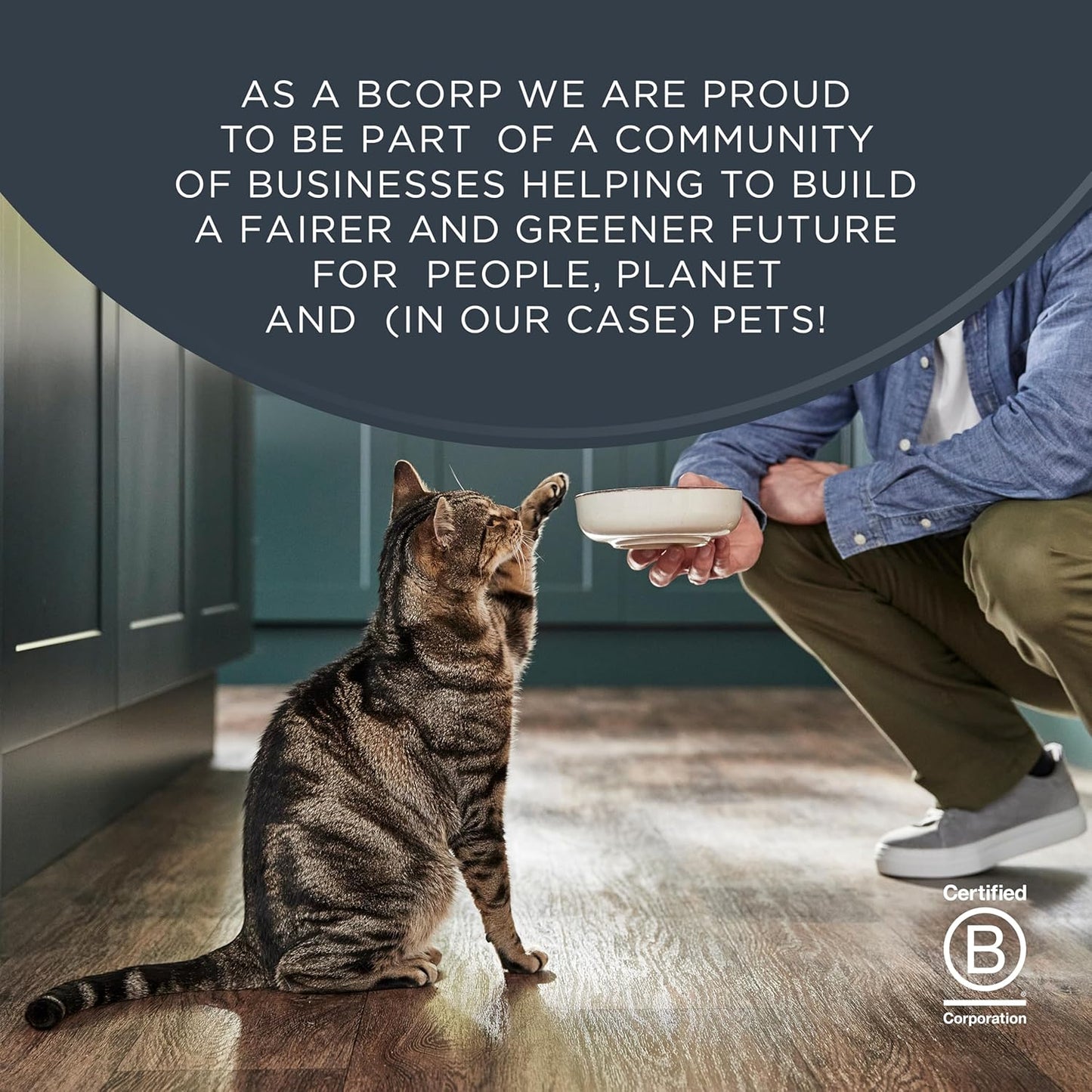 100% Natural Cat Treat Loins – Festive Variety, Grain Free (Tuna, Mackerel & Chicken with Rosemary) Pack of 3 × 30 G