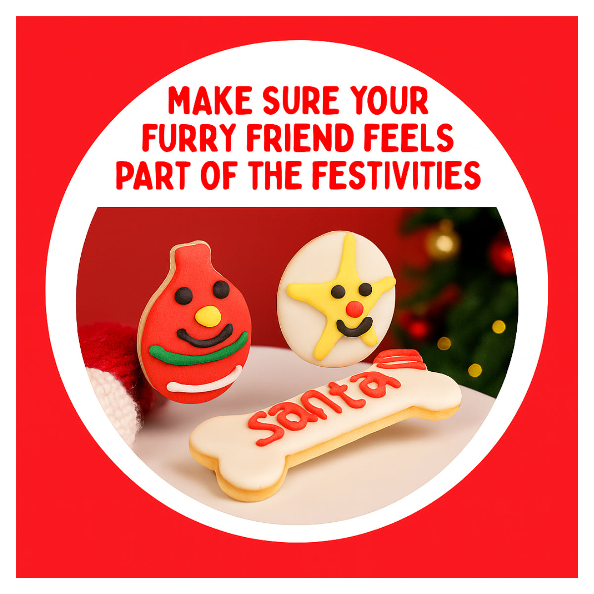 Christmas Dog Treats Set of Pet Cookies Flavoured Crunchy Biscuits Star Bauble